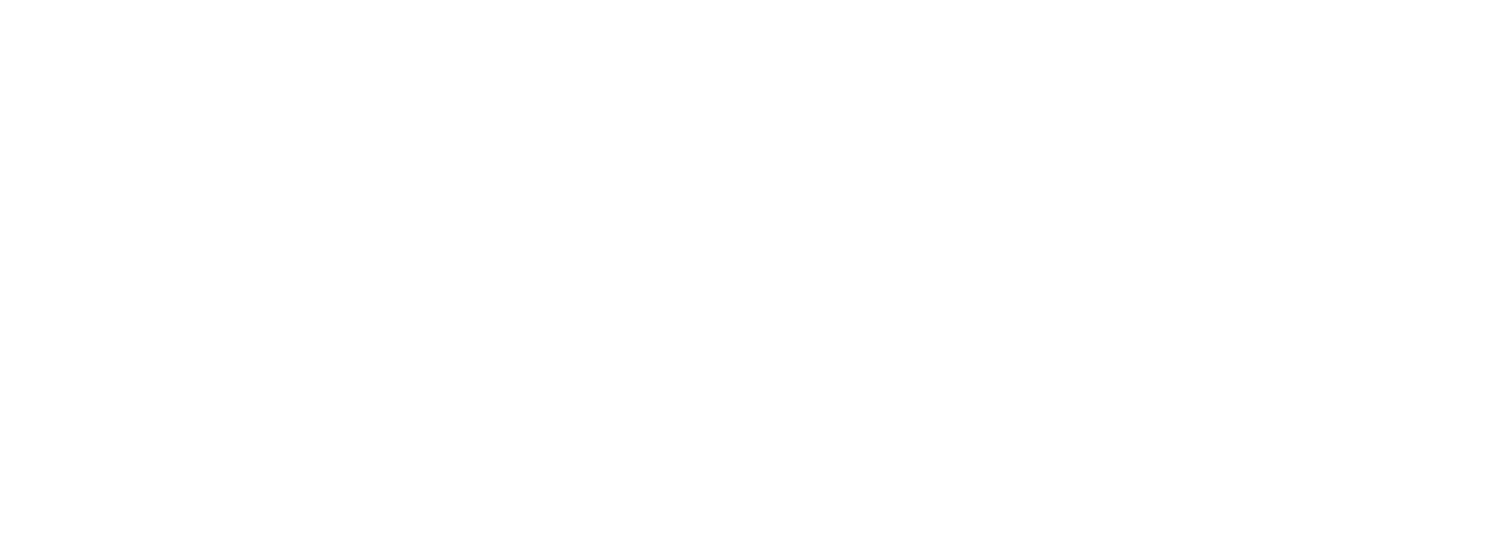 SEGNORTEENGENHARIA-LOGO_0000_6